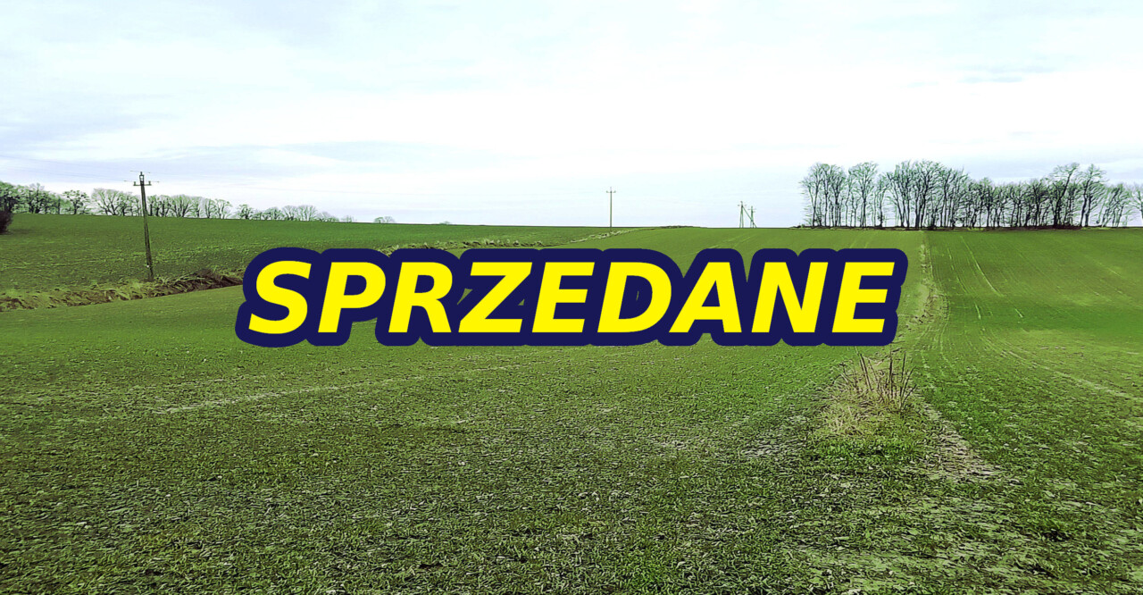 SPRZEDANE - Nieruchomości Krzysztof Górski Zamość, biuro nieruchomości, domy, mieszkania, działki, lokale, sprzedaż nieruchomości, wynajem nieruchomości