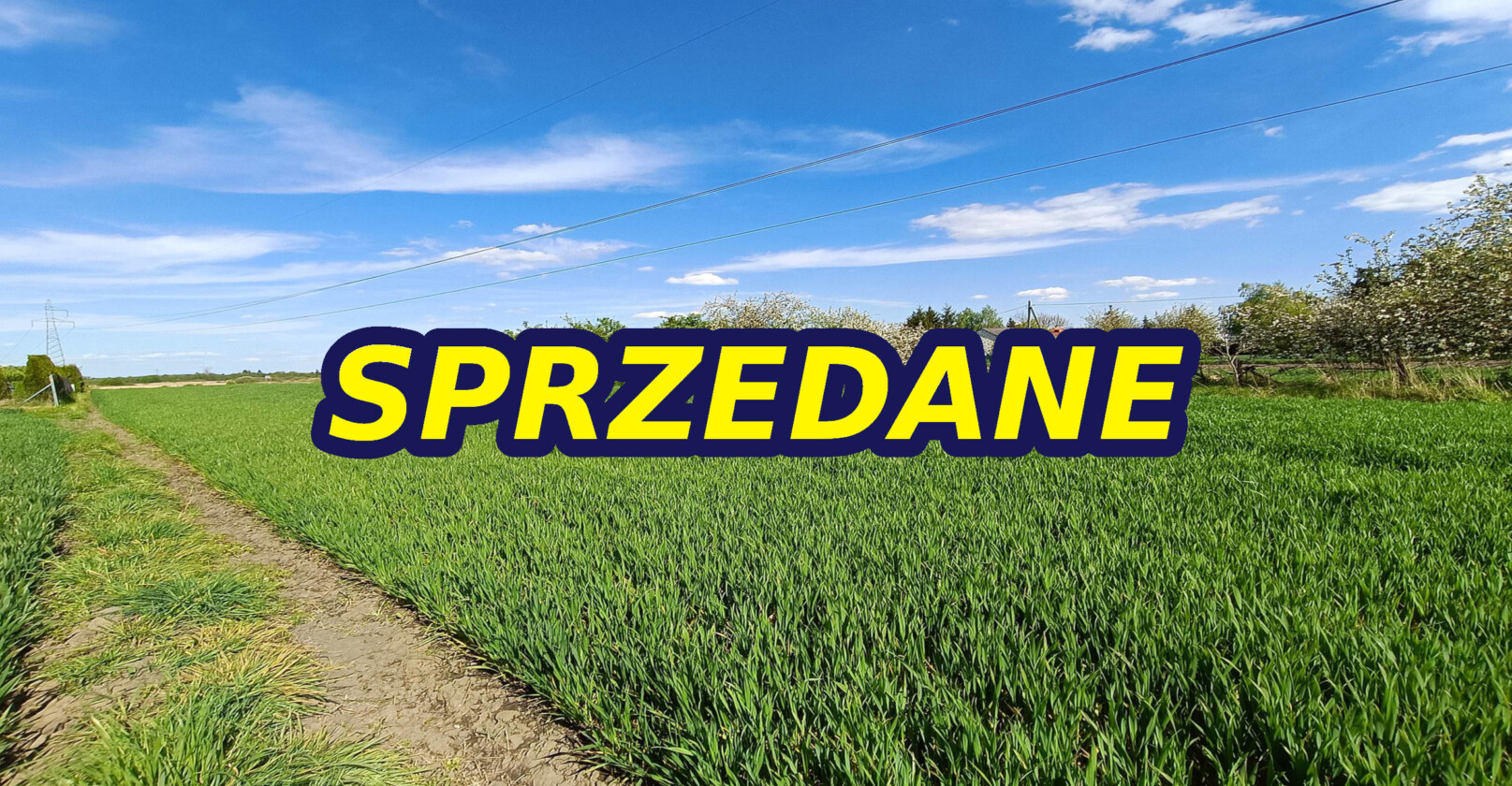 SPRZEDANE - Nieruchomości Krzysztof Górski Zamość, biuro nieruchomości, domy, mieszkania, działki, lokale, sprzedaż nieruchomości, wynajem nieruchomości