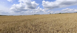 Nieruchomości Krzysztof Górski Zamość, biuro nieruchomości, domy, mieszkania, działki, lokale, sprzedaż nieruchomości, wynajem nieruchomości