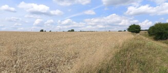 Nieruchomości Krzysztof Górski Zamość, biuro nieruchomości, domy, mieszkania, działki, lokale, sprzedaż nieruchomości, wynajem nieruchomości