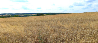 Nieruchomości Krzysztof Górski Zamość, biuro nieruchomości, domy, mieszkania, działki, lokale, sprzedaż nieruchomości, wynajem nieruchomości