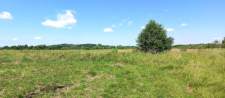 Nieruchomości Krzysztof Górski Zamość, biuro nieruchomości, domy, mieszkania, działki, lokale, sprzedaż nieruchomości, wynajem nieruchomości