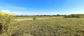 Nieruchomości Krzysztof Górski Zamość, biuro nieruchomości, domy, mieszkania, działki, lokale, sprzedaż nieruchomości, wynajem nieruchomości