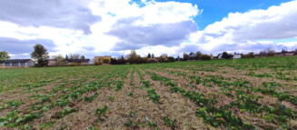 Nieruchomości Krzysztof Górski Zamość, biuro nieruchomości, domy, mieszkania, działki, lokale, sprzedaż nieruchomości, wynajem nieruchomości