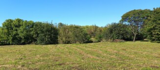 Nieruchomości Krzysztof Górski Zamość, biuro nieruchomości, domy, mieszkania, działki, lokale, sprzedaż nieruchomości, wynajem nieruchomości