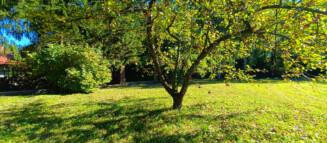 Nieruchomości Krzysztof Górski Zamość, biuro nieruchomości, domy, mieszkania, działki, lokale, sprzedaż nieruchomości, wynajem nieruchomości