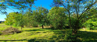 Nieruchomości Krzysztof Górski Zamość, biuro nieruchomości, domy, mieszkania, działki, lokale, sprzedaż nieruchomości, wynajem nieruchomości