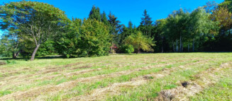 Nieruchomości Krzysztof Górski Zamość, biuro nieruchomości, domy, mieszkania, działki, lokale, sprzedaż nieruchomości, wynajem nieruchomości