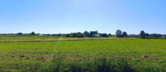 Nieruchomości Krzysztof Górski Zamość, biuro nieruchomości, domy, mieszkania, działki, lokale, sprzedaż nieruchomości, wynajem nieruchomości