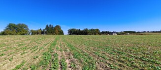 Nieruchomości Krzysztof Górski Zamość, biuro nieruchomości, domy, mieszkania, działki, lokale, sprzedaż nieruchomości, wynajem nieruchomości