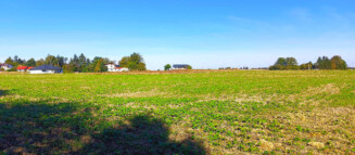 Nieruchomości Krzysztof Górski Zamość, biuro nieruchomości, domy, mieszkania, działki, lokale, sprzedaż nieruchomości, wynajem nieruchomości