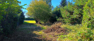 Nieruchomości Krzysztof Górski Zamość, biuro nieruchomości, domy, mieszkania, działki, lokale, sprzedaż nieruchomości, wynajem nieruchomości