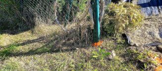 Nieruchomości Krzysztof Górski Zamość, biuro nieruchomości, domy, mieszkania, działki, lokale, sprzedaż nieruchomości, wynajem nieruchomości