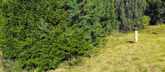 Nieruchomości Krzysztof Górski Zamość, biuro nieruchomości, domy, mieszkania, działki, lokale, sprzedaż nieruchomości, wynajem nieruchomości