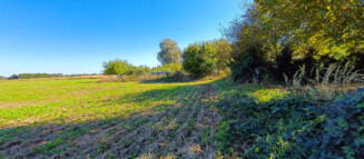 Nieruchomości Krzysztof Górski Zamość, biuro nieruchomości, domy, mieszkania, działki, lokale, sprzedaż nieruchomości, wynajem nieruchomości