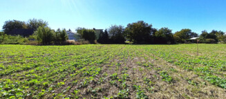 Nieruchomości Krzysztof Górski Zamość, biuro nieruchomości, domy, mieszkania, działki, lokale, sprzedaż nieruchomości, wynajem nieruchomości