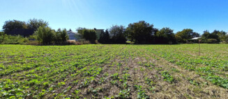 Nieruchomości Krzysztof Górski Zamość, biuro nieruchomości, domy, mieszkania, działki, lokale, sprzedaż nieruchomości, wynajem nieruchomości