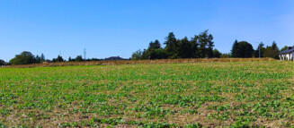 Nieruchomości Krzysztof Górski Zamość, biuro nieruchomości, domy, mieszkania, działki, lokale, sprzedaż nieruchomości, wynajem nieruchomości