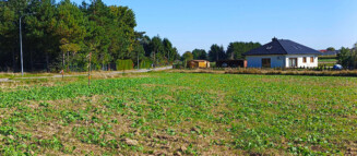 Nieruchomości Krzysztof Górski Zamość, biuro nieruchomości, domy, mieszkania, działki, lokale, sprzedaż nieruchomości, wynajem nieruchomości