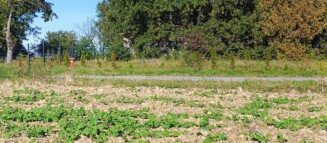 Nieruchomości Krzysztof Górski Zamość, biuro nieruchomości, domy, mieszkania, działki, lokale, sprzedaż nieruchomości, wynajem nieruchomości