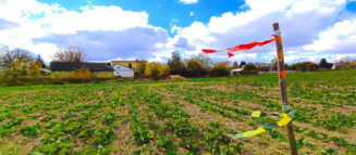 Nieruchomości Krzysztof Górski Zamość, biuro nieruchomości, domy, mieszkania, działki, lokale, sprzedaż nieruchomości, wynajem nieruchomości