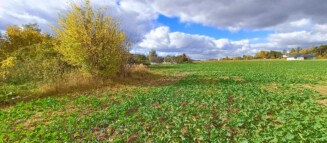 Nieruchomości Krzysztof Górski Zamość, biuro nieruchomości, domy, mieszkania, działki, lokale, sprzedaż nieruchomości, wynajem nieruchomości