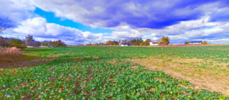 Nieruchomości Krzysztof Górski Zamość, biuro nieruchomości, domy, mieszkania, działki, lokale, sprzedaż nieruchomości, wynajem nieruchomości