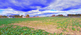 Nieruchomości Krzysztof Górski Zamość, biuro nieruchomości, domy, mieszkania, działki, lokale, sprzedaż nieruchomości, wynajem nieruchomości