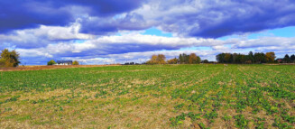 Nieruchomości Krzysztof Górski Zamość, biuro nieruchomości, domy, mieszkania, działki, lokale, sprzedaż nieruchomości, wynajem nieruchomości