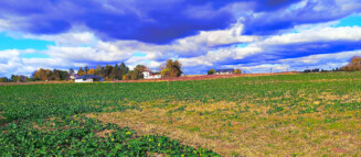 Nieruchomości Krzysztof Górski Zamość, biuro nieruchomości, domy, mieszkania, działki, lokale, sprzedaż nieruchomości, wynajem nieruchomości