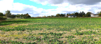 Nieruchomości Krzysztof Górski Zamość, biuro nieruchomości, domy, mieszkania, działki, lokale, sprzedaż nieruchomości, wynajem nieruchomości