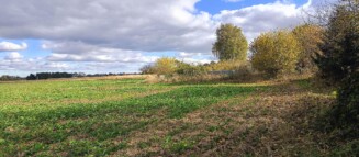 Nieruchomości Krzysztof Górski Zamość, biuro nieruchomości, domy, mieszkania, działki, lokale, sprzedaż nieruchomości, wynajem nieruchomości