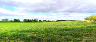 Nieruchomości Krzysztof Górski Zamość, biuro nieruchomości, domy, mieszkania, działki, lokale, sprzedaż nieruchomości, wynajem nieruchomości