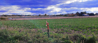 Nieruchomości Krzysztof Górski Zamość, biuro nieruchomości, domy, mieszkania, działki, lokale, sprzedaż nieruchomości, wynajem nieruchomości