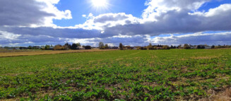 Nieruchomości Krzysztof Górski Zamość, biuro nieruchomości, domy, mieszkania, działki, lokale, sprzedaż nieruchomości, wynajem nieruchomości