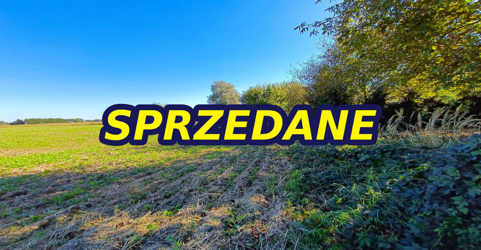 SPRZEDANE - Nieruchomości Krzysztof Górski Zamość, biuro nieruchomości, domy, mieszkania, działki, lokale, sprzedaż nieruchomości, wynajem nieruchomości