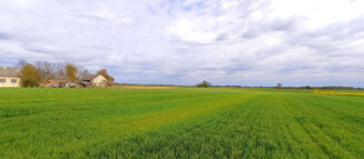 Nieruchomości Krzysztof Górski Zamość, biuro nieruchomości, domy, mieszkania, działki, lokale, sprzedaż nieruchomości, wynajem nieruchomości