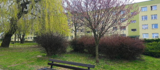 Nieruchomości Krzysztof Górski Zamość, biuro nieruchomości, domy, mieszkania, działki, lokale, sprzedaż nieruchomości, wynajem nieruchomości