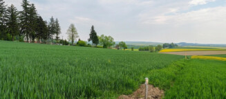 Nieruchomości Krzysztof Górski Zamość, biuro nieruchomości, domy, mieszkania, działki, lokale, sprzedaż nieruchomości, wynajem nieruchomości