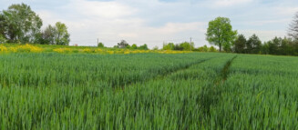 Nieruchomości Krzysztof Górski Zamość, biuro nieruchomości, domy, mieszkania, działki, lokale, sprzedaż nieruchomości, wynajem nieruchomości