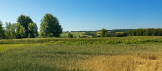 Nieruchomości Krzysztof Górski Zamość, biuro nieruchomości, domy, mieszkania, działki, lokale, sprzedaż nieruchomości, wynajem nieruchomości